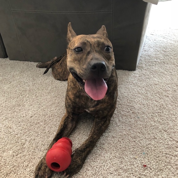 Meet your Posher, Laura - Picture 6 of 8